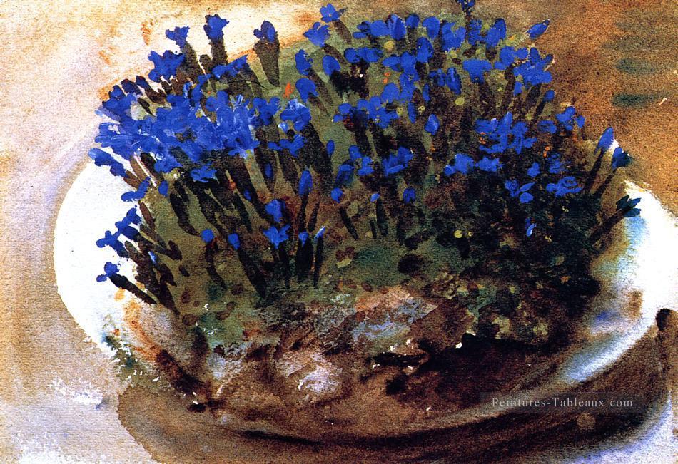 Gentianes bleues John Singer Sargent Peintures à l'huile